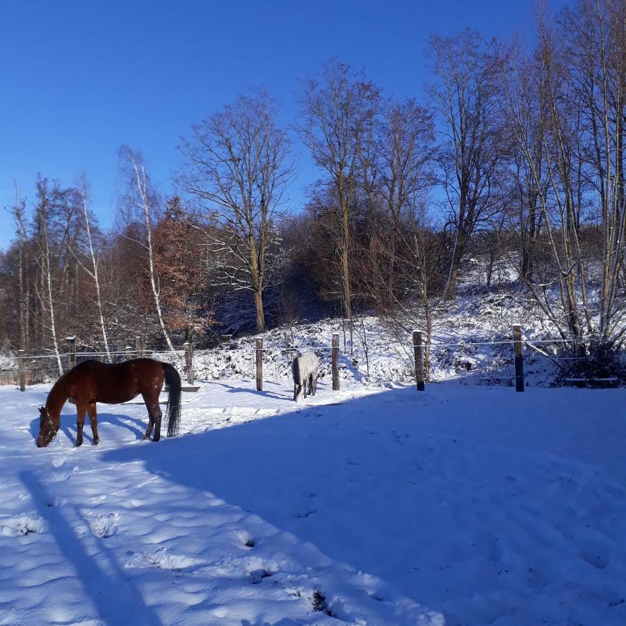 Le Gite Du Cheval Blanc Fraize المظهر الخارجي الصورة